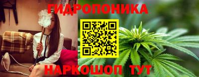 шишки Тулун