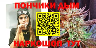 шишки Тулун
