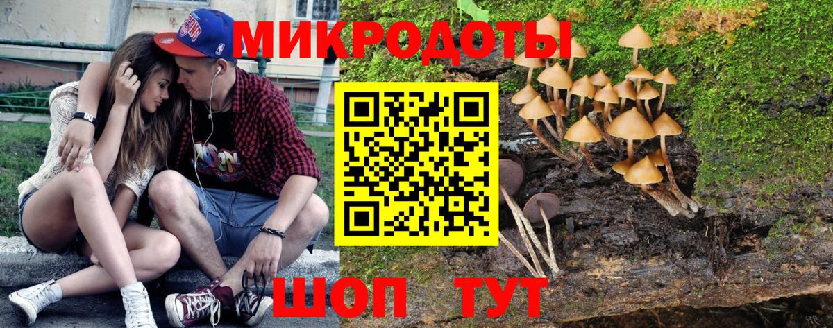 Псилоцибиновые грибы ЛСД  Псилоцибиновые грибы мухоморы  продажа наркотиков  Вход с VPN  Барнаул 